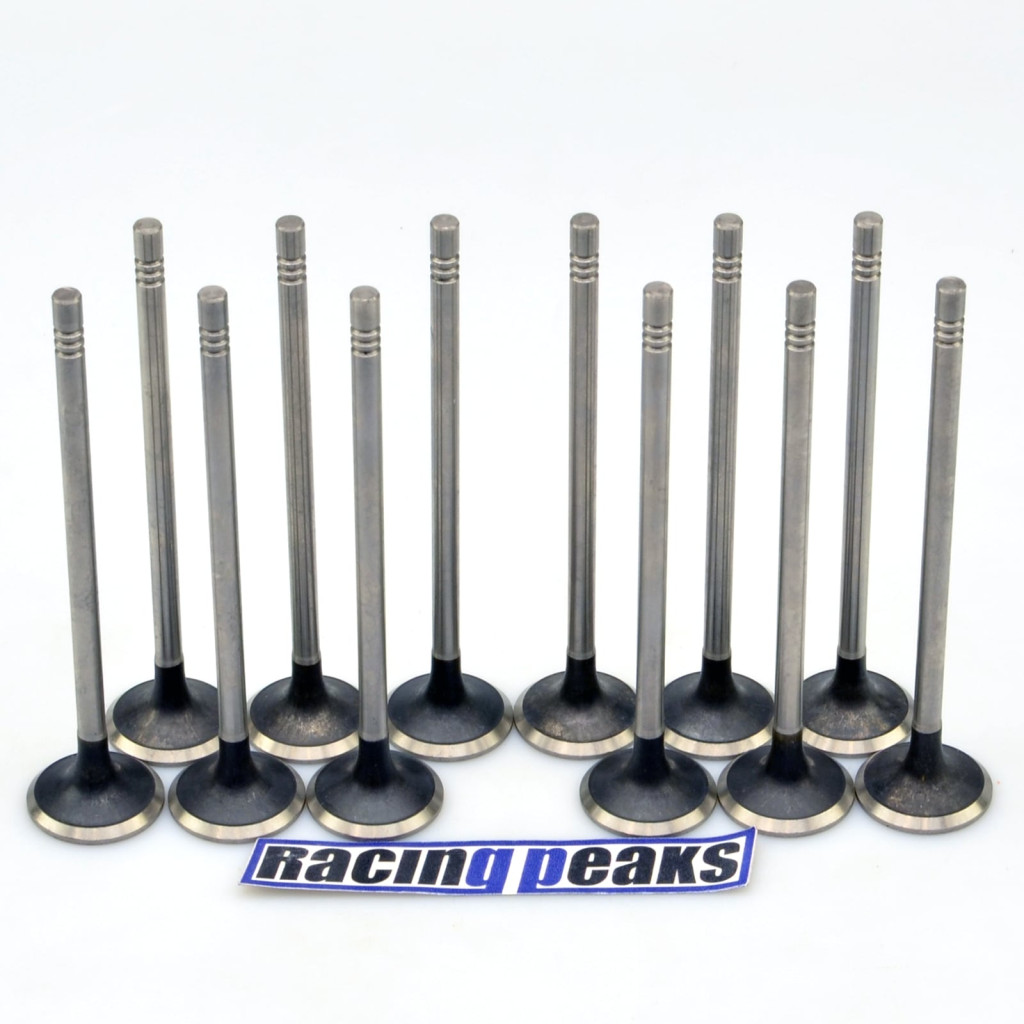 Intake valve set fits Jeep Grand Cherokee EXF EXN RAM 1500 EcoDiesel 3.0 A630