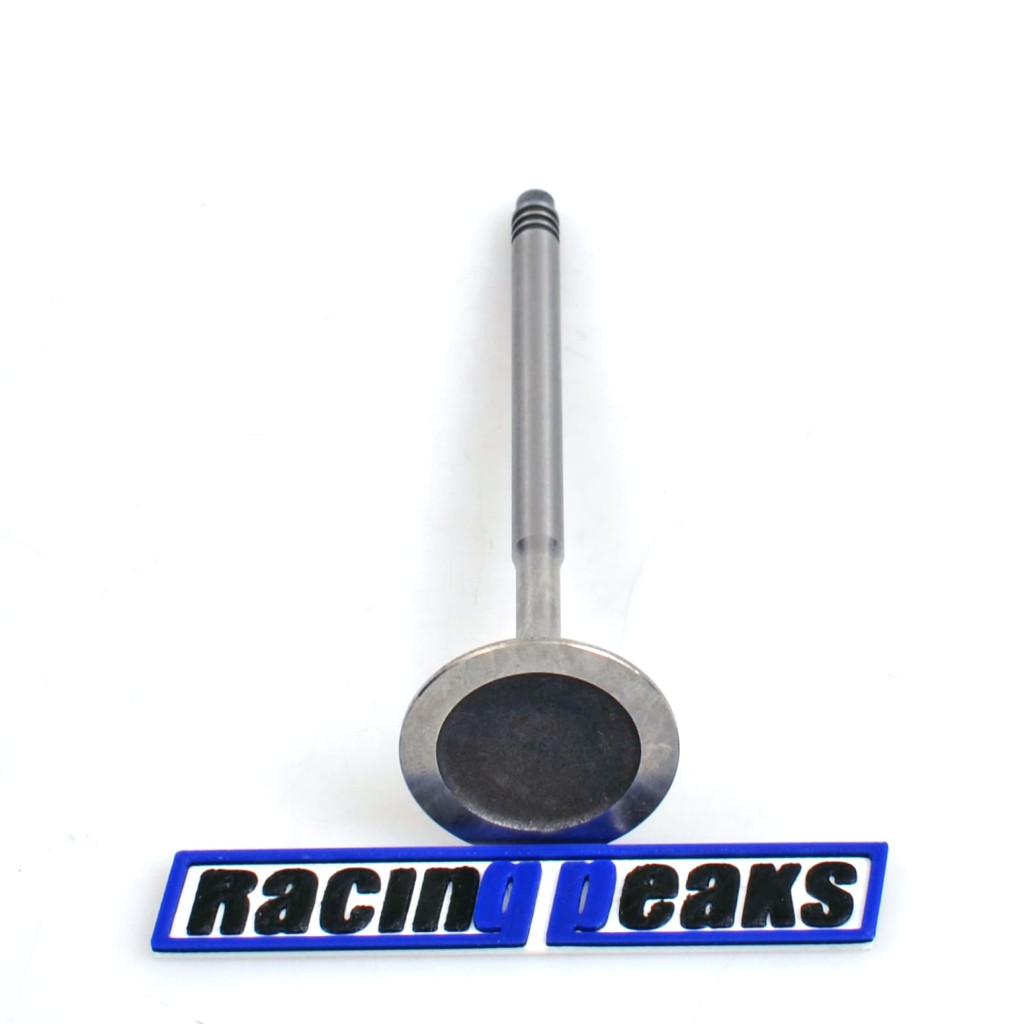 Intake Valve fits BMW 116i 316i 1.6 N43B16 N45B16 2004-2013