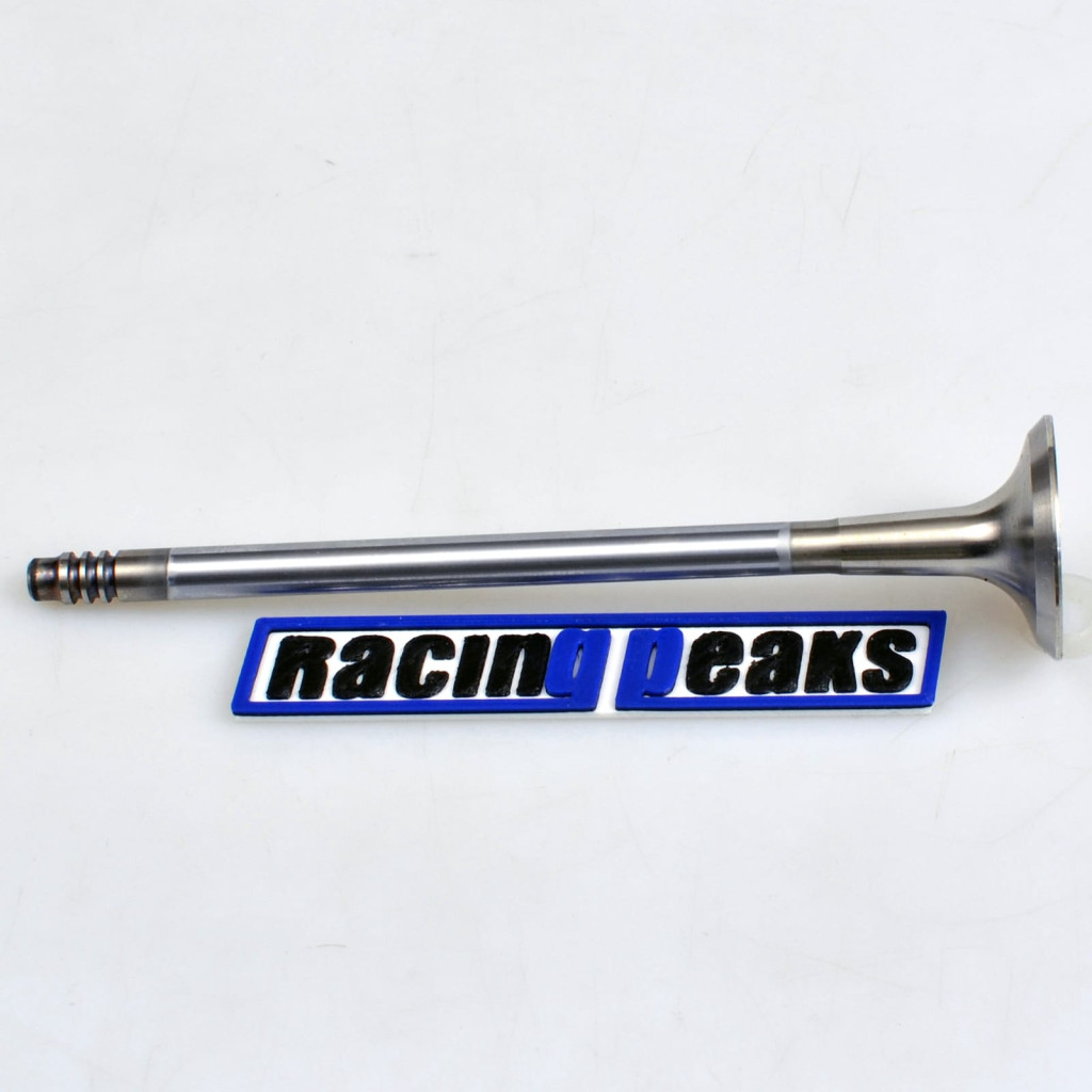 Exhaust Valve fits BMW 116i 316i 1.6 N43B16 N45B16 2004-2013