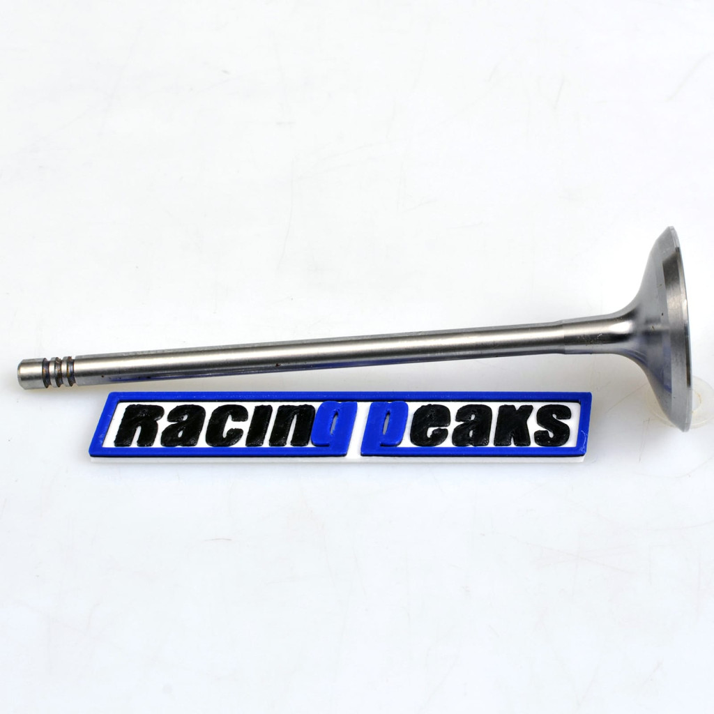 Intake Valve fits BMW 325i 330i 335i 525i 530i 630i 640i 3.0 N55B30 N52B30 N53B30