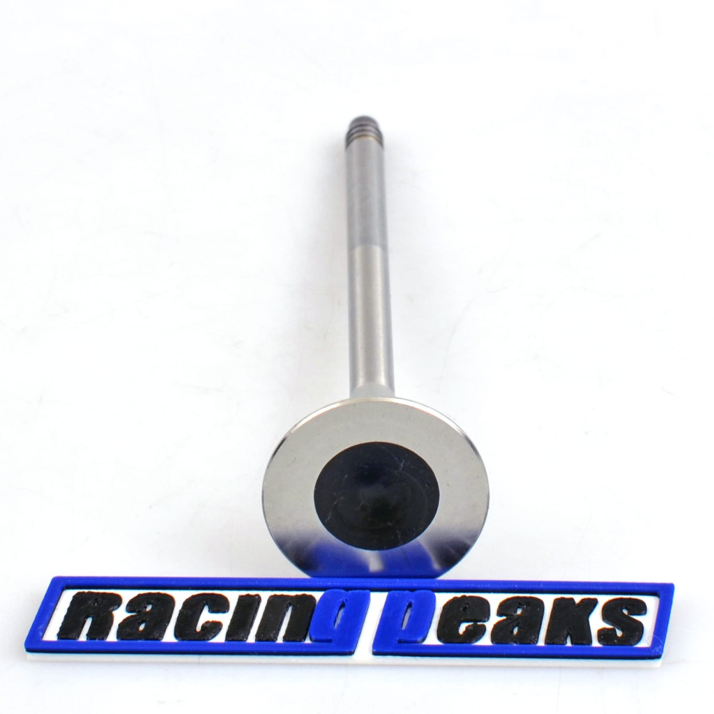 Exhaust Valve fits BMW 320i 328i 420i 428i 520i 528i X1 2.0 N20B20 N26B20 N45B20