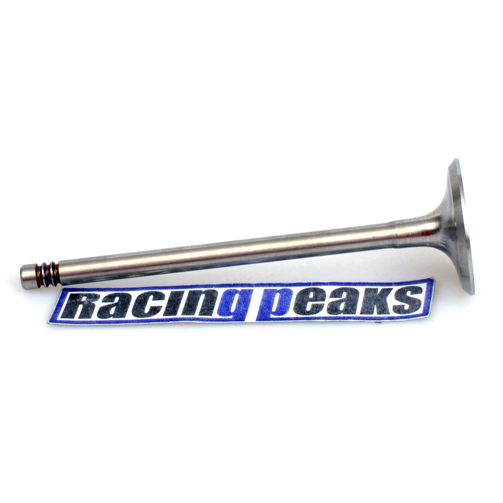 Intake Valve fits BMW 530i 730i 3.0 M60B30 1992-1996