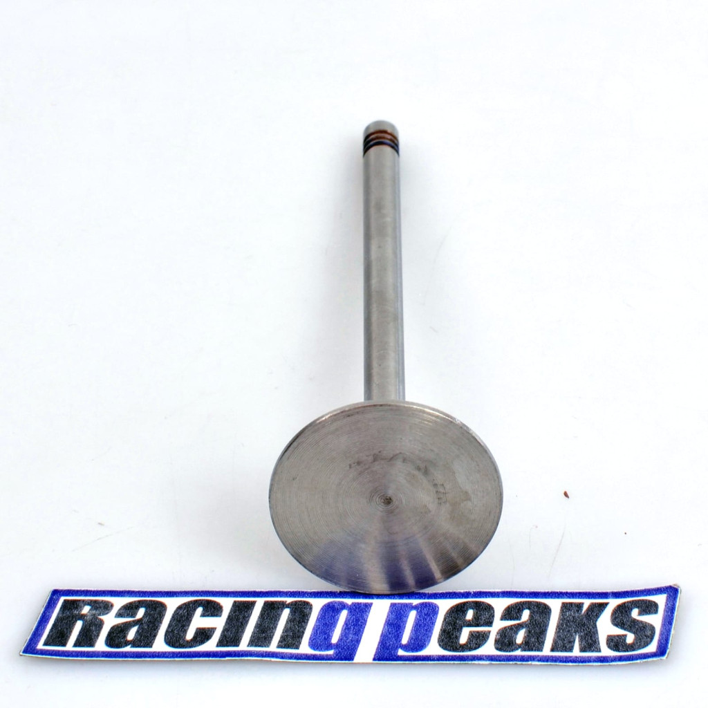 Intake Valve fits BMW 530i 730i 3.0 M60B30 1992-1996