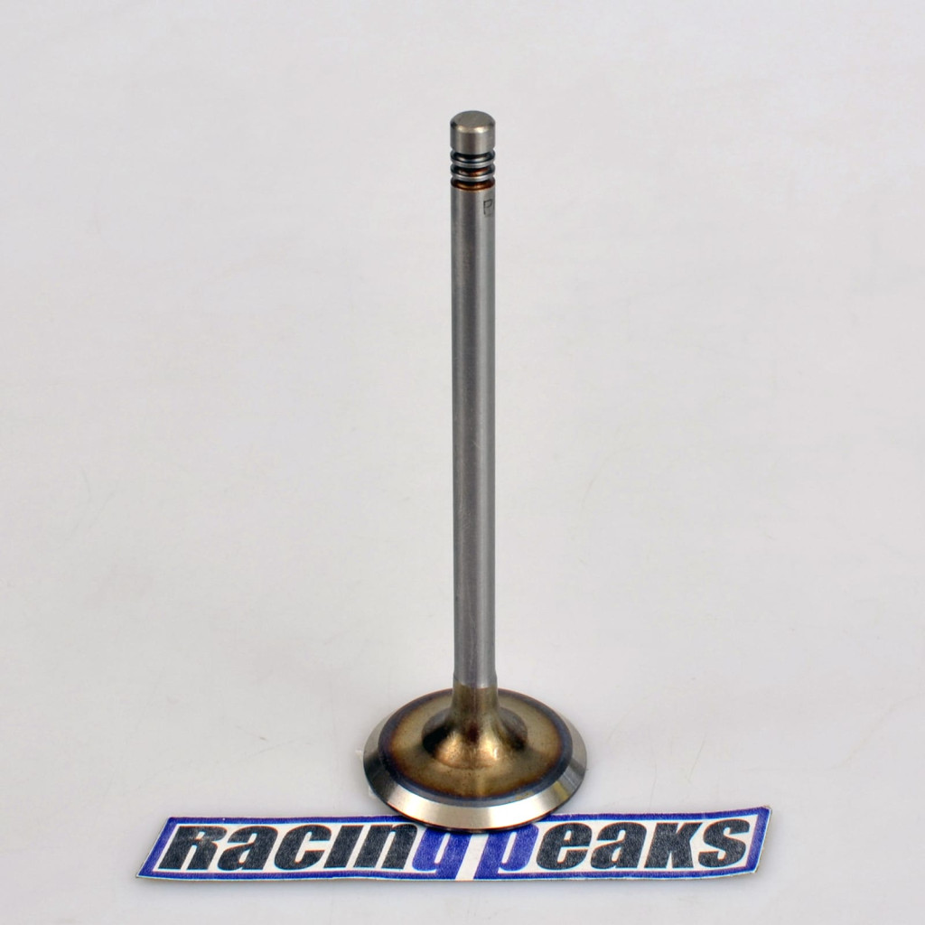 Intake Valve fits BMW 323i 325i 328i 525i Z3 2.5-3.0 M52B28 M54B25 M54B30 M50B25