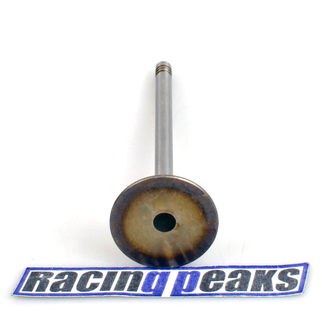 Intake Valve fits BMW 318i 318is 318ti Z3 1.8 1.9 M42B18 M44B19 1989-1999