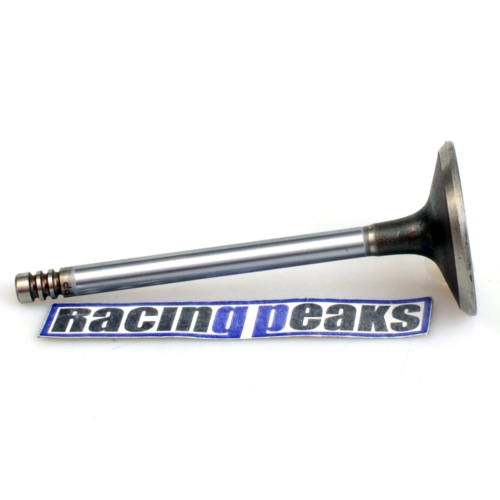 Intake Valve fits BMW 320 320i 323i 520 520i 525e 2.0 2.7 M20B20 M20B27 M20B23