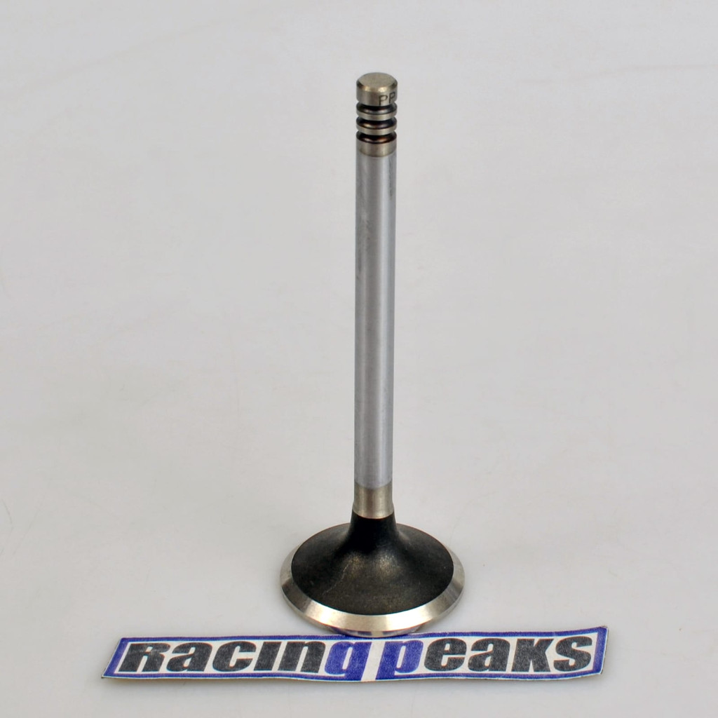 Exhaust Valve fits BMW 320 320i 323i 520 520i 525e 2.0 2.7 M20B20 M20B27 M20B23