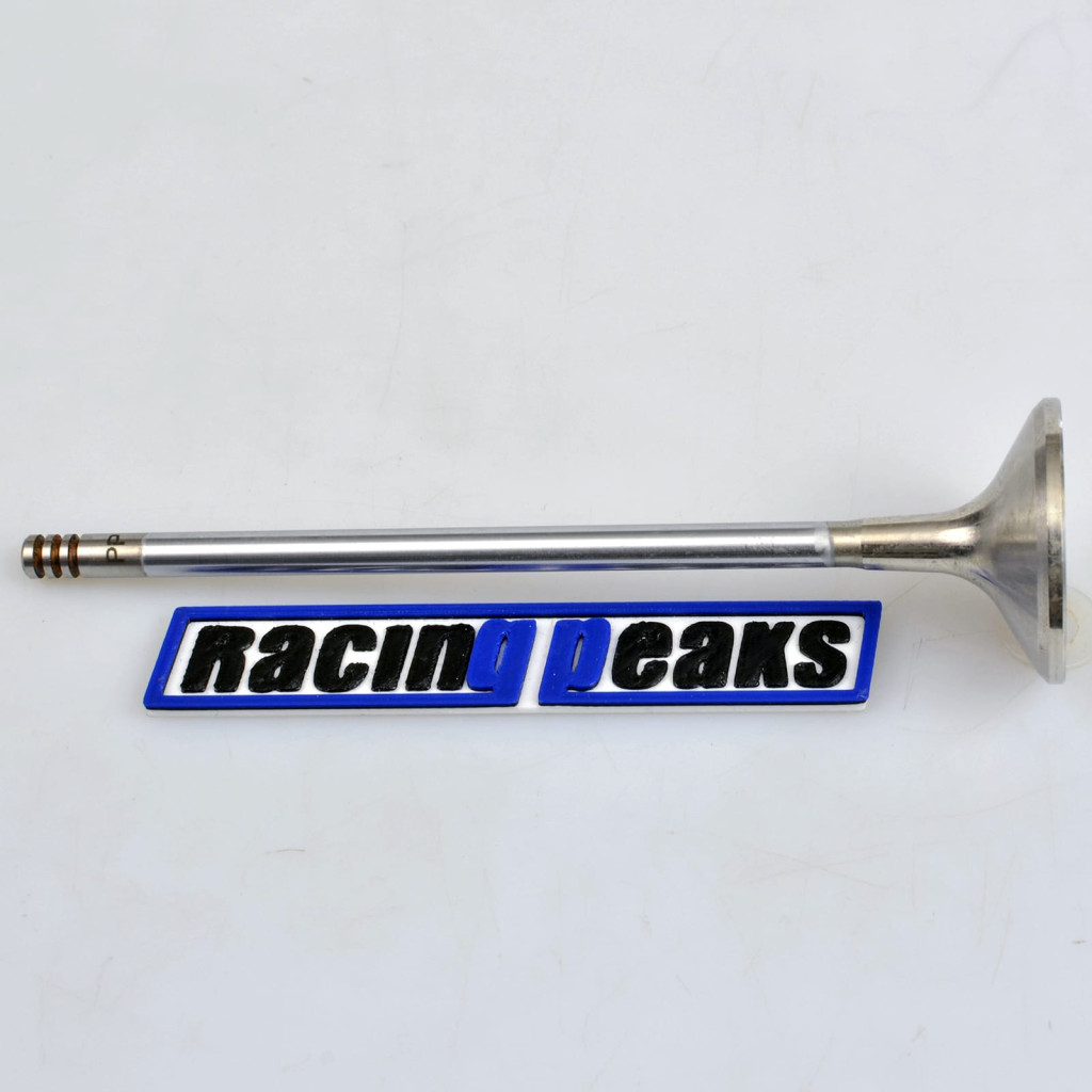 Exhaust Valve fits BMW 135i M135i M235i 335i 435i 535i 640i 740i X5 X6 3.0 N55B30