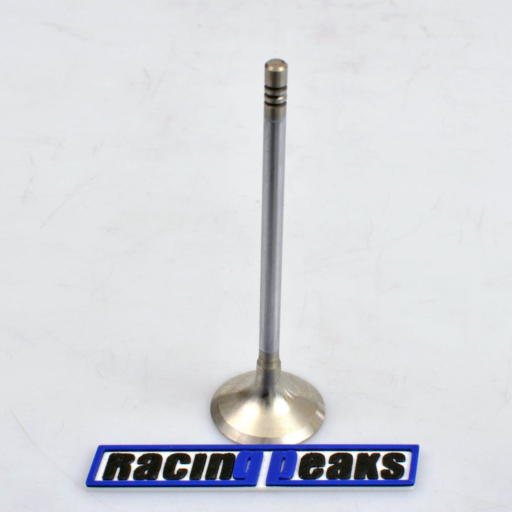 Exhaust Valve fits BMW 120i 128ti 220i 225i X1 X2 X3 2.0 B48A20 2013-