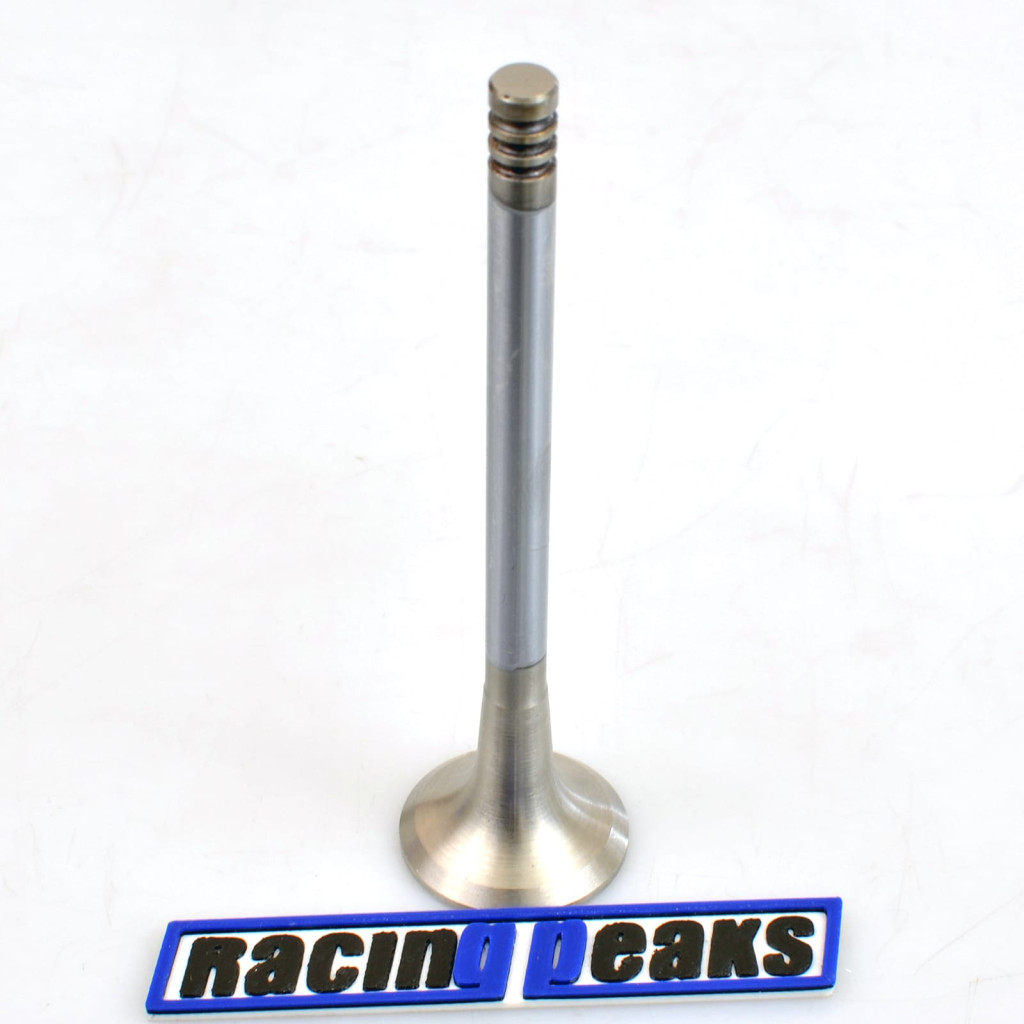Exhaust Valve fits BMW 320Ci 320i 520i Z3 2.0 M52B20 M50B20 1990-2003