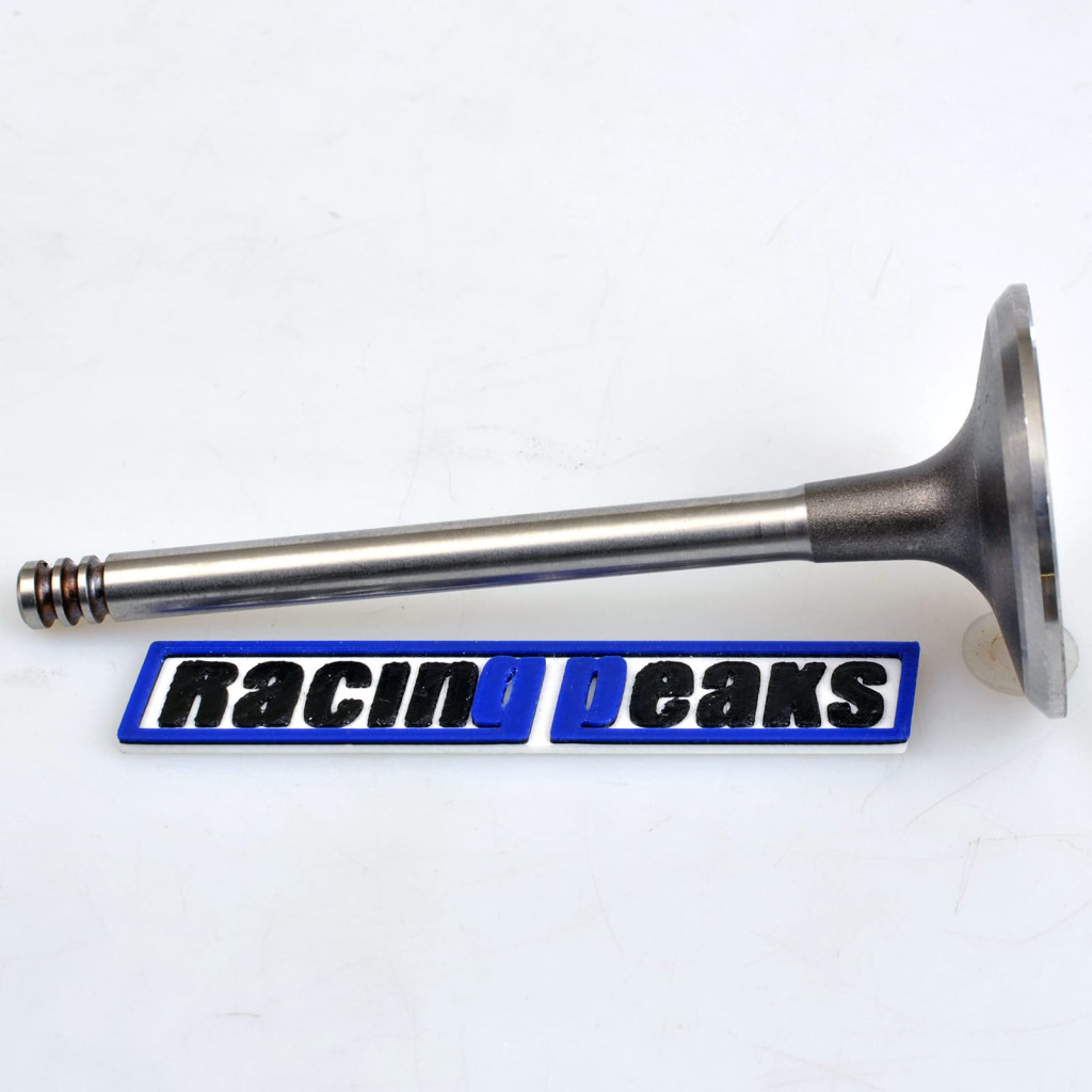 Intake Valve fits BMW 750i 850i 5.0 M70B50 1987-1994