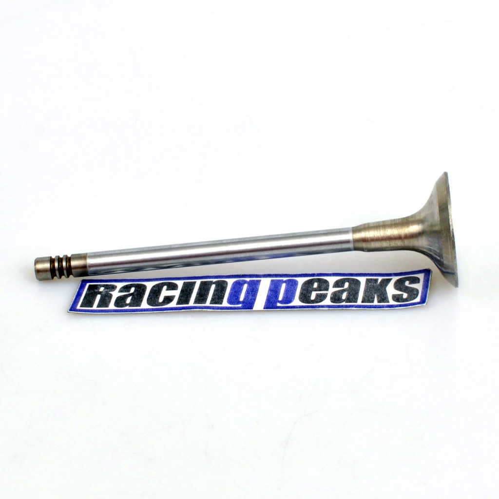 Exhaust Valve fits BMW 530i 730i 3.0 M60B30 1992-1996