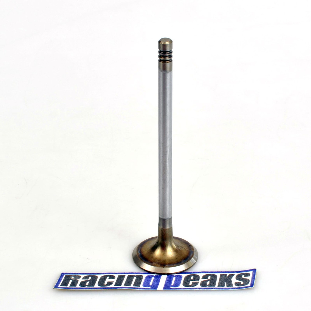 Intake Valve fits BMW 320Ci 320i 520i Z3 Z4 2.0 2.2 M52B20 M50B20 M54B22 1990-10