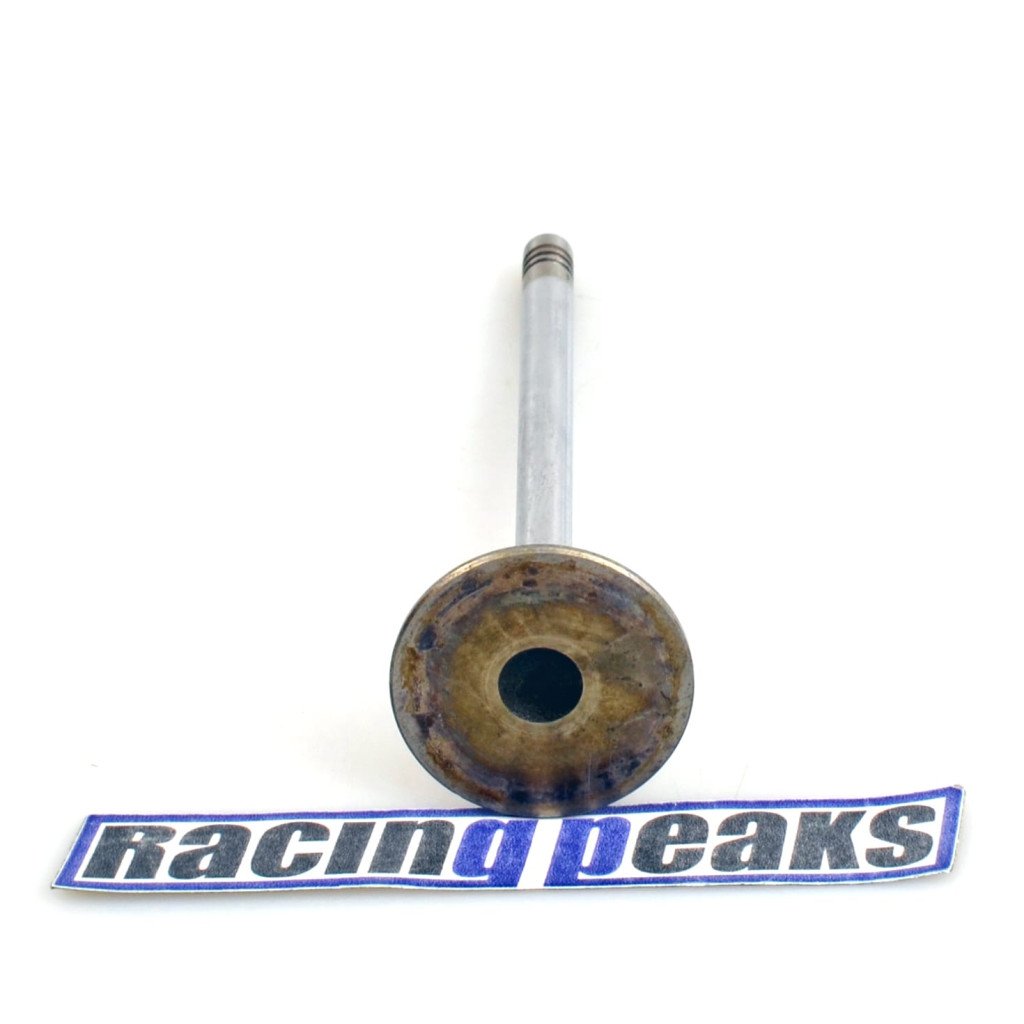 Intake Valve fits BMW 320Ci 320i 520i Z3 Z4 2.0 2.2 M52B20 M50B20 M54B22 1990-10