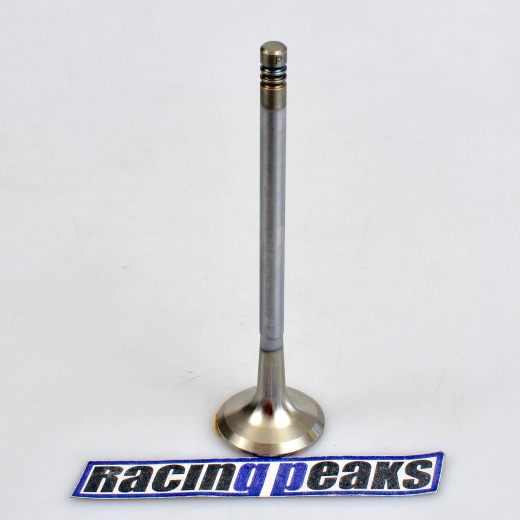 Exhaust Valve fits BMW 320Ci 320i 520i Z3 Z4 2.0 2.2 M52B20 M50B20 M54B22 1990-10