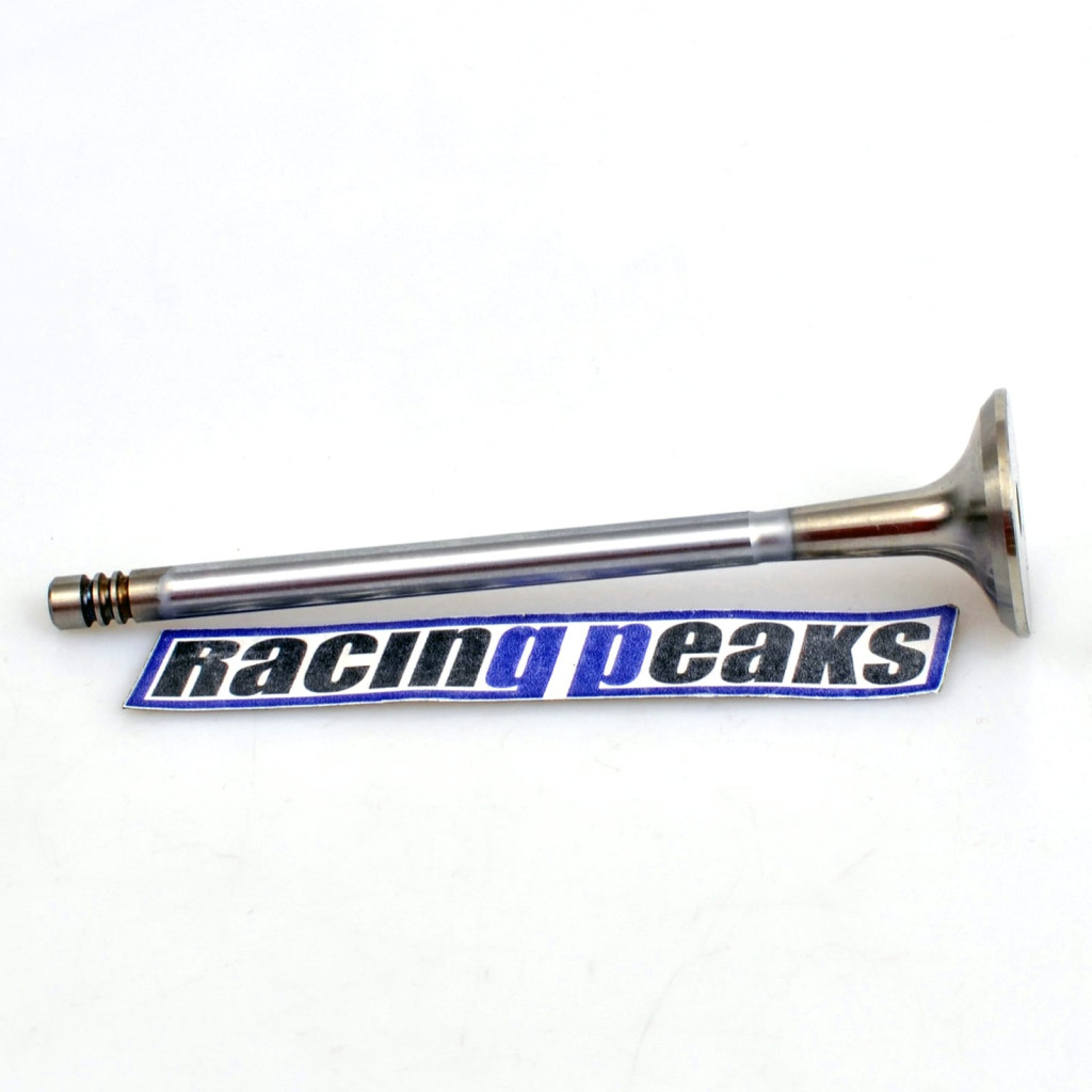 Exhaust Valve fits BMW 320Ci 320i 520i Z3 Z4 2.0 2.2 M52B20 M50B20 M54B22 1990-10