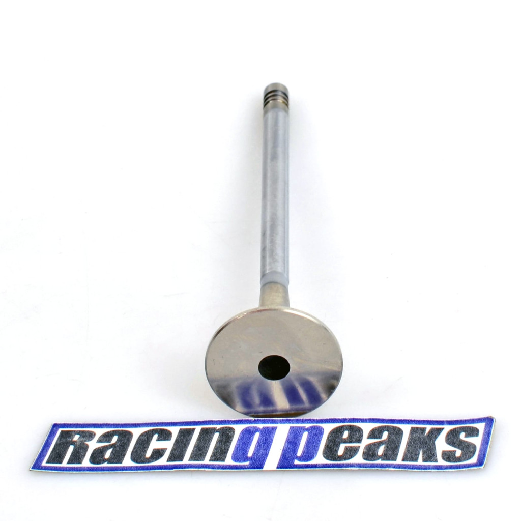 Exhaust Valve fits BMW 320Ci 320i 520i Z3 Z4 2.0 2.2 M52B20 M50B20 M54B22 1990-10