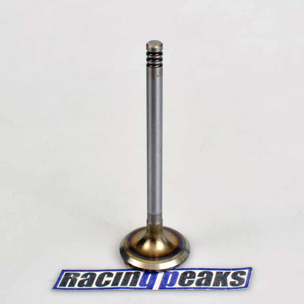 Intake Valve fits BMW 325i 325is 525i 525iX 2.5 M50B25 1990-1996