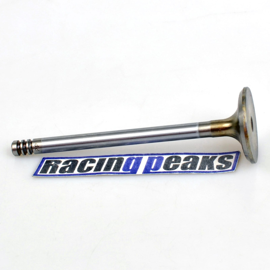 Intake Valve fits BMW 316i 318i 318is 318ti 1.6 1.8 M42B18 M40B16 1987-1995