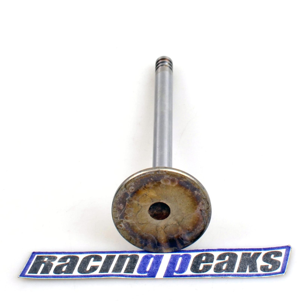 Intake Valve fits BMW 316i 318i 318is 318ti 1.6 1.8 M42B18 M40B16 1987-1995