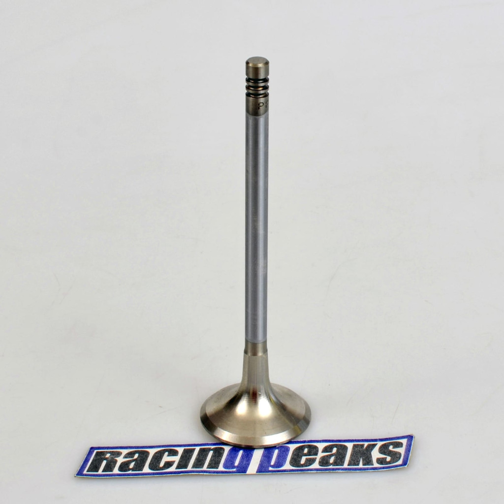 Exhaust Valve fits BMW 318i 318is 318ti Z3 1.8 1.9 M42B18 M44B19 1989-1999