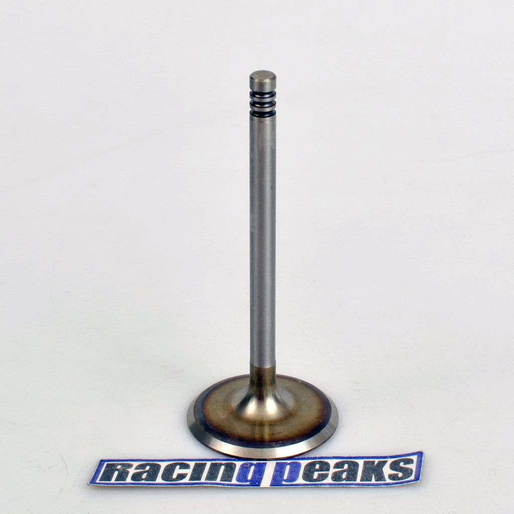 Intake Valve fits BMW 316 316Ci 316i 318i 518i Z3 1.6-1.9 M43B16 M43B18 M43B19