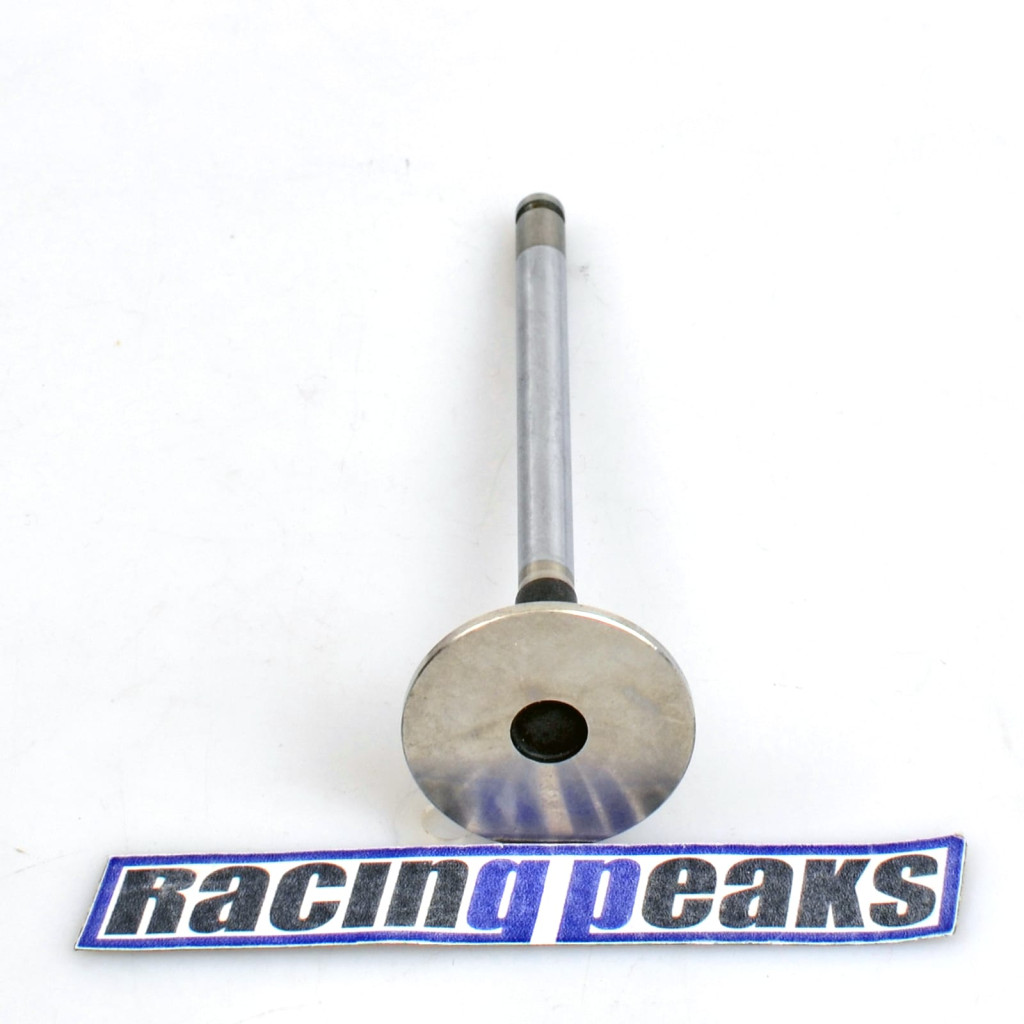 Exhaust Valve fits Peugeot 306 406 806 Citroen Xantia XM Xsara ZX 1.8 2.0 XU10J4R