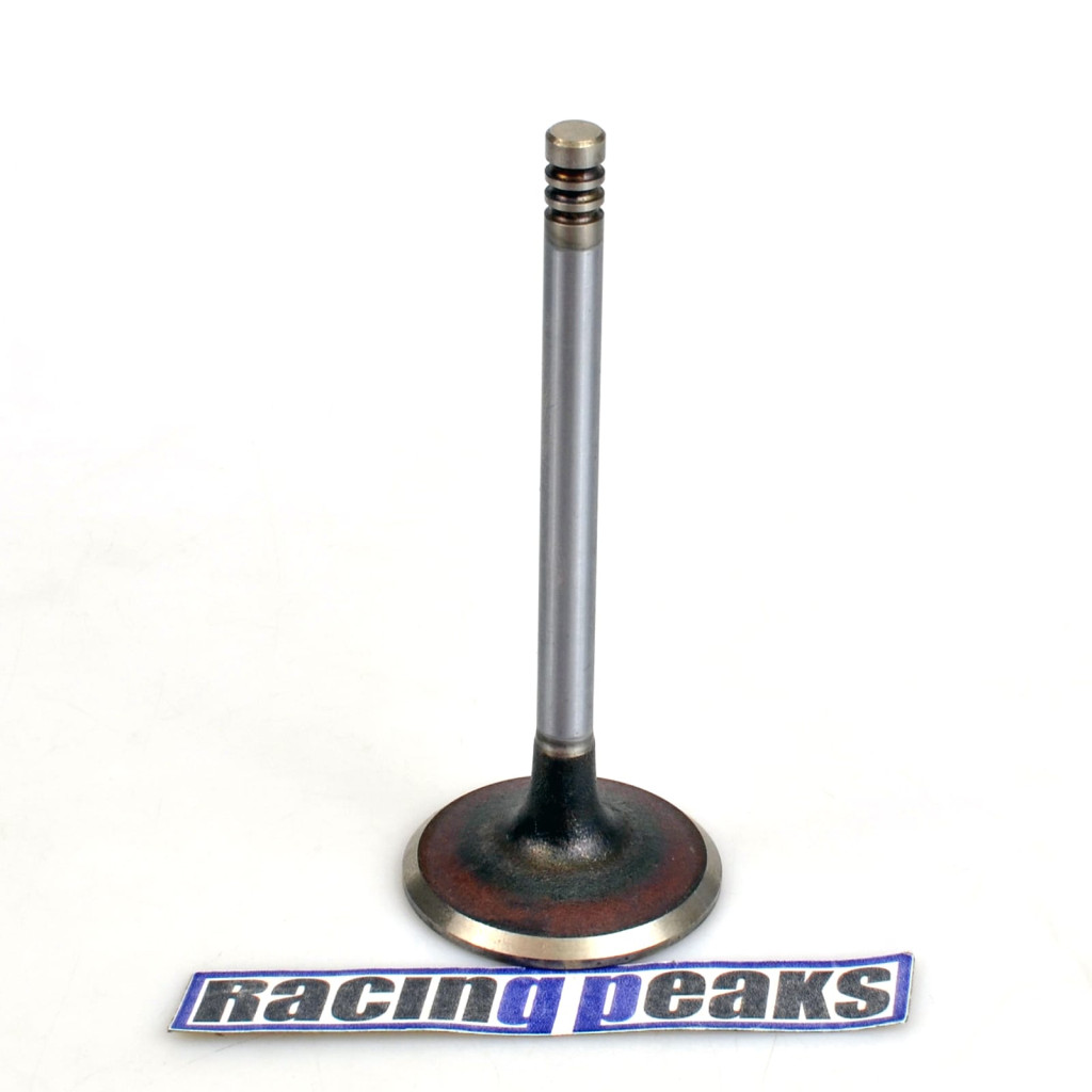 Intake Valve fits BMW 320 320i 323i 520 520i 525e 2.0 2.7 M20B20 M20B27 M20B23