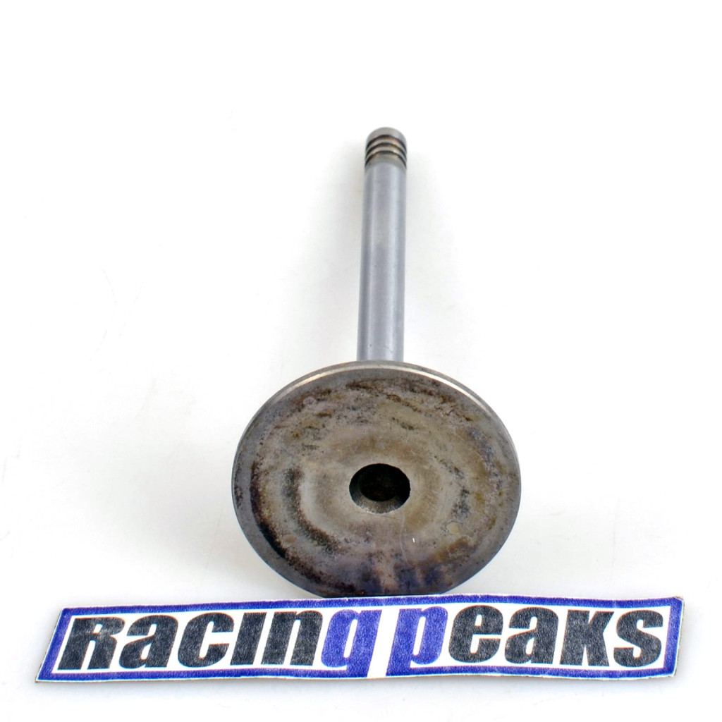 Intake Valve fits BMW 320 320i 323i 520 520i 525e 2.0 2.7 M20B20 M20B27 M20B23
