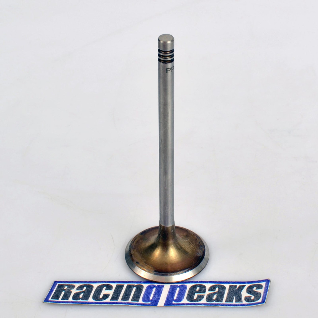 Intake Valve fits BMW 540i 740i 840Ci X5 Land Rover Range Rover 4.0 4.4 M62B44