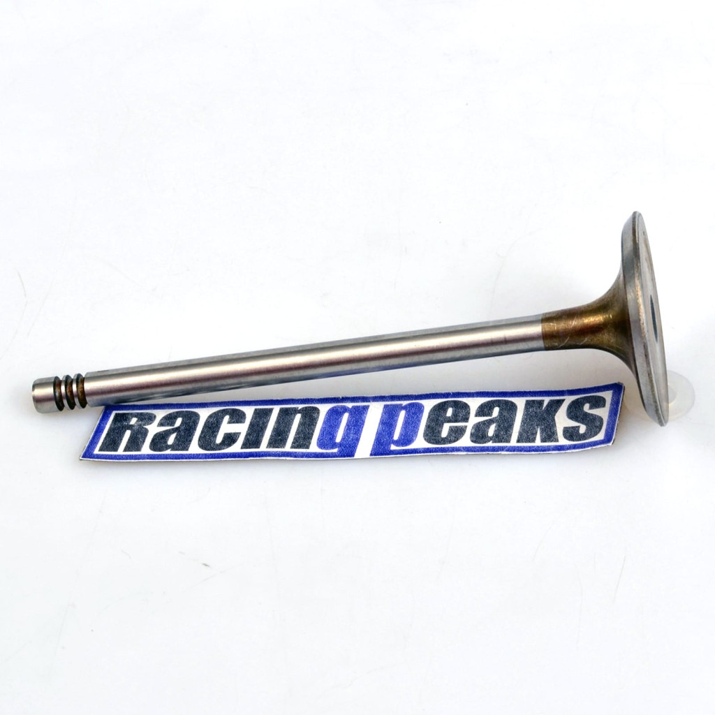 Intake Valve fits BMW 540i 740i 840Ci X5 Land Rover Range Rover 4.0 4.4 M62B44