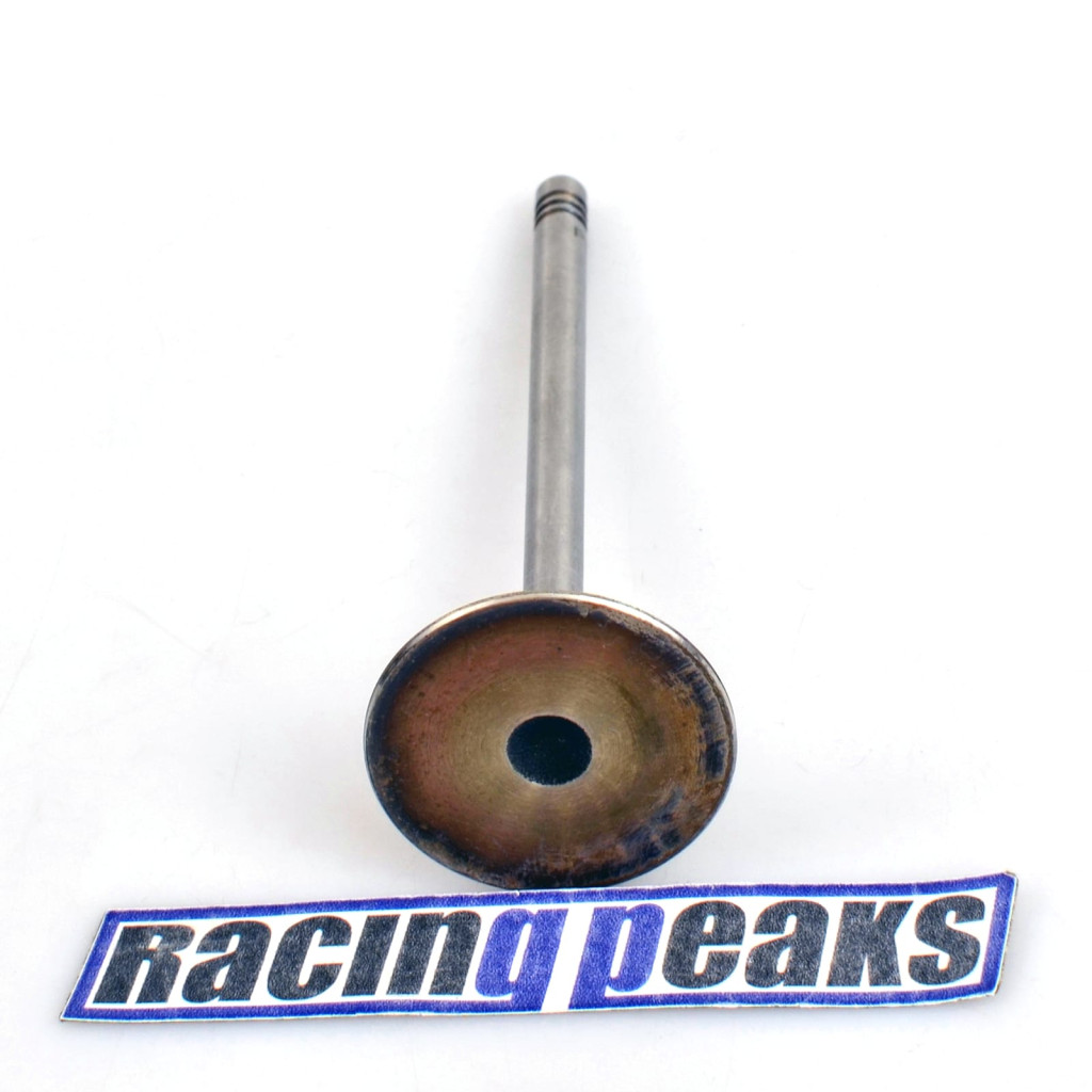 Intake Valve fits BMW 540i 740i 840Ci X5 Land Rover Range Rover 4.0 4.4 M62B44