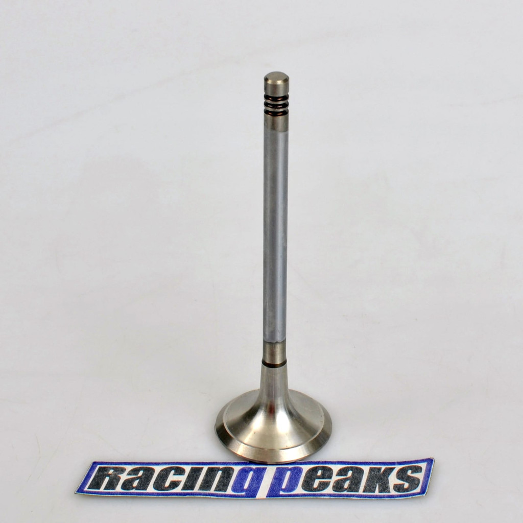 Exhaust Valve fits BMW 540i 740i 840Ci X5 Land Rover Range Rover 4.0 4.4 M62B44