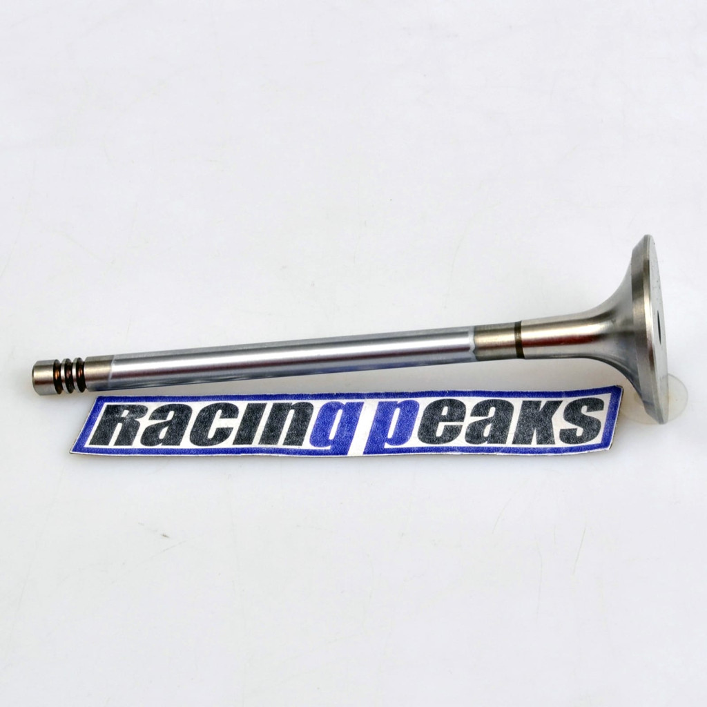 Exhaust Valve fits BMW 540i 740i 840Ci X5 Land Rover Range Rover 4.0 4.4 M62B44