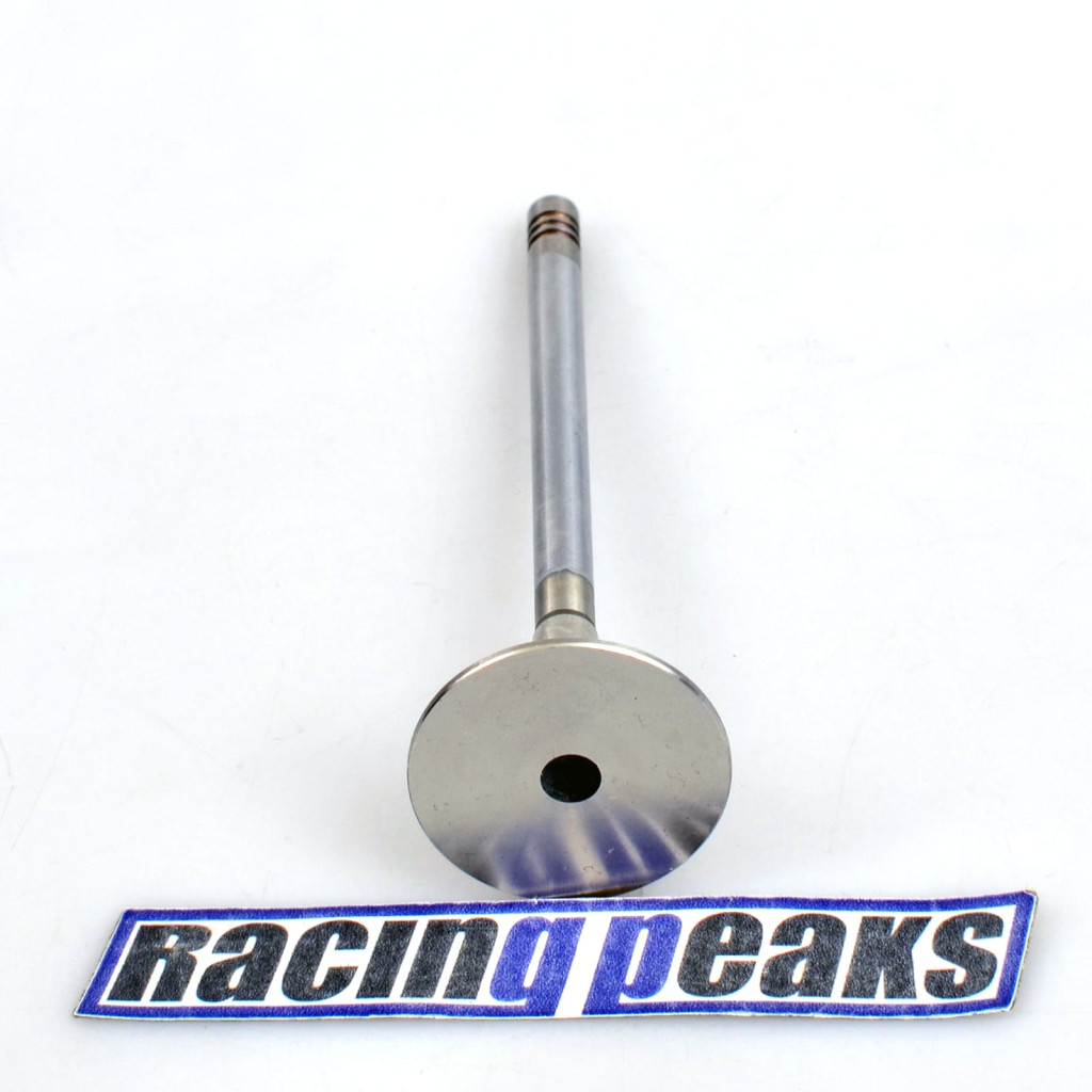 Exhaust Valve fits BMW 540i 740i 840Ci X5 Land Rover Range Rover 4.0 4.4 M62B44