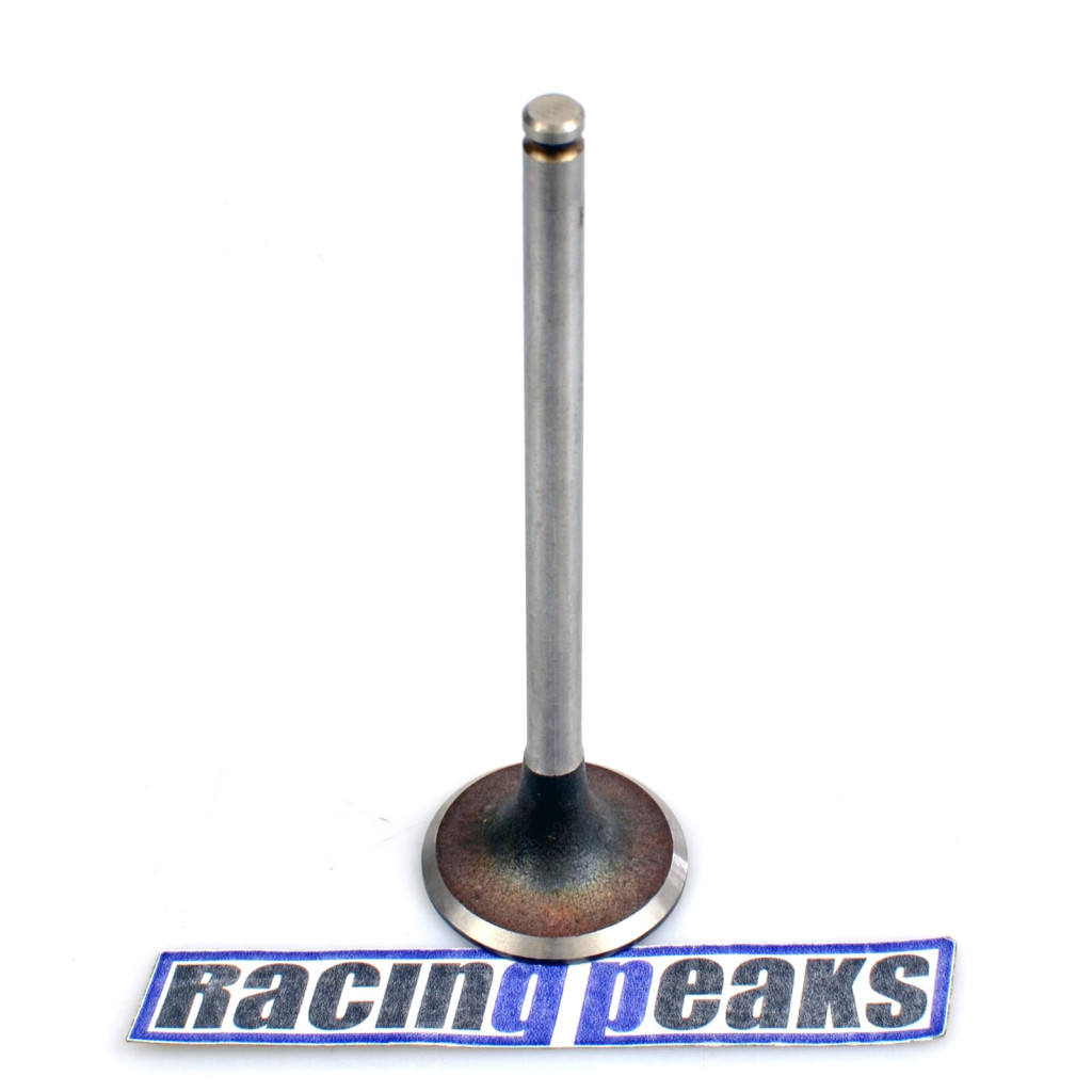Intake Valve fits Citroen C5 Xantia Xsara ZX Peugeot 306 406 407 1.8 EW7 XU7JP4