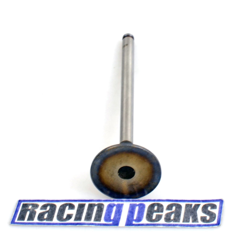 Intake Valve fits Citroen C5 Xantia Xsara ZX Peugeot 306 406 407 1.8 EW7 XU7JP4