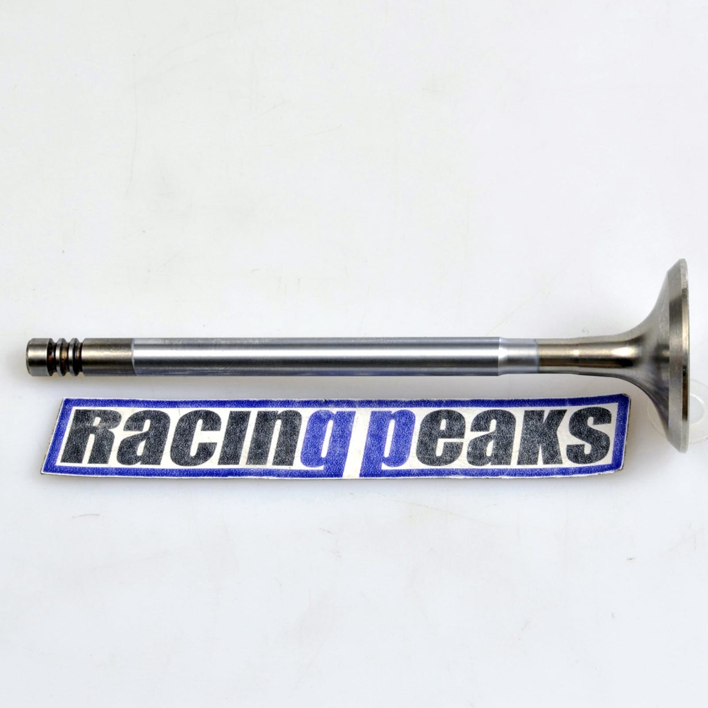 Exhaust Valve fits BMW 545i 550i 645Ci X5 X6 4.4 4.8 N62B48 N62B44 N62B40 S63B44