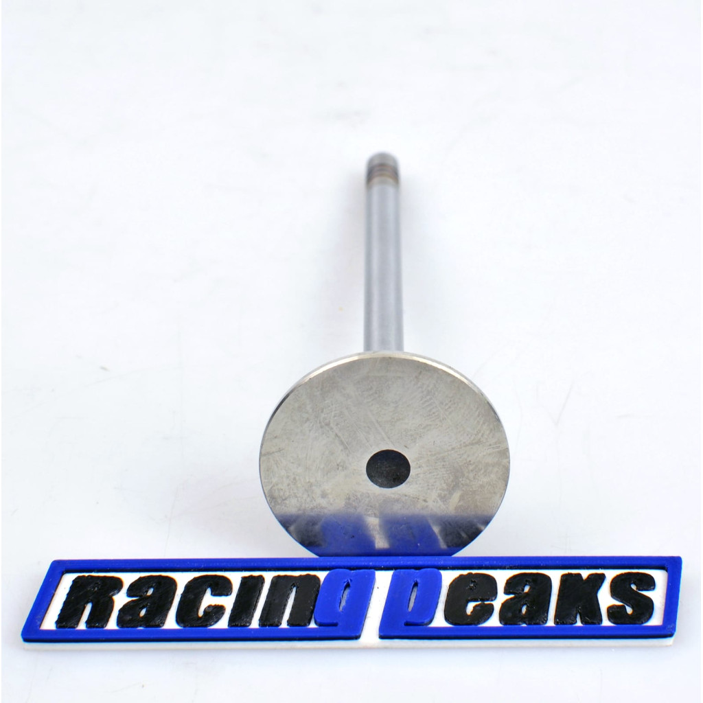 Exhaust Valve fits Peugeot 206 207 Citroen C2 C3 Ford Fiesta 1.4 HDi Duratorq DV4