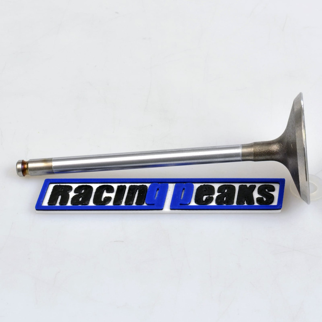 Intake Valve fits Jaguar S-Type X-Type XF XJ 3.0 V6 AJ30