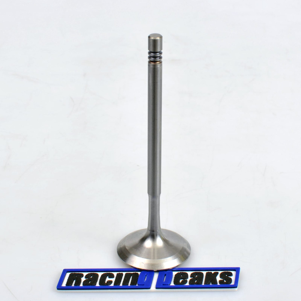 Intake Valve fits BMW 550i M550i 650i 750i X5 X6 4.4 N63B44 2008-2019