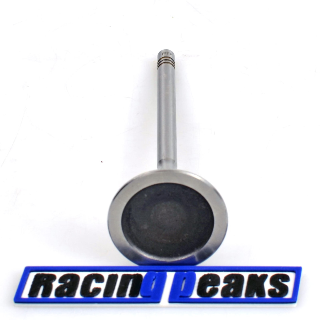 Intake Valve fits BMW 550i M550i 650i 750i X5 X6 4.4 N63B44 2008-2019
