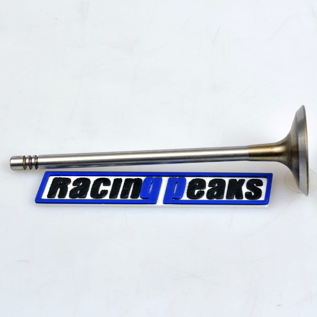 Intake Valve fits BMW 220i 320i 330i 420i 430i 530i X3 2.0 B48B20 B48A20 B46A20