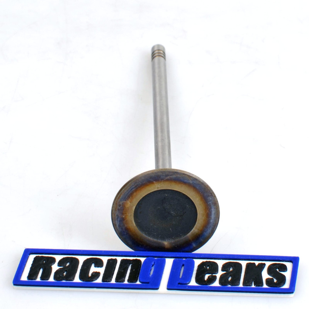 Intake Valve fits BMW 220i 320i 330i 420i 430i 530i X3 2.0 B48B20 B48A20 B46A20