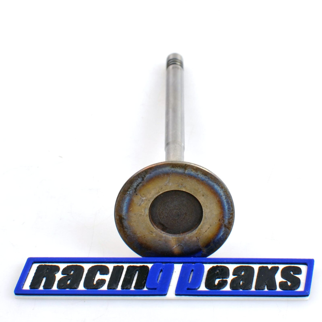 Intake Valve fits Audi A5 Q7 Q8 Porsche Cayenne Panamera VW Touareg 2.9 3.0 DCBE
