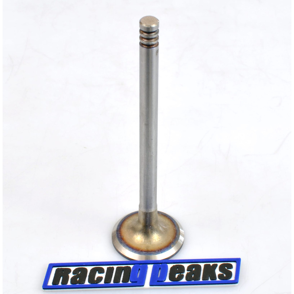 Intake Valve fits BMW 320Ci 320i 520i Z3 2.0 M52B20 M50B20 1990-2003