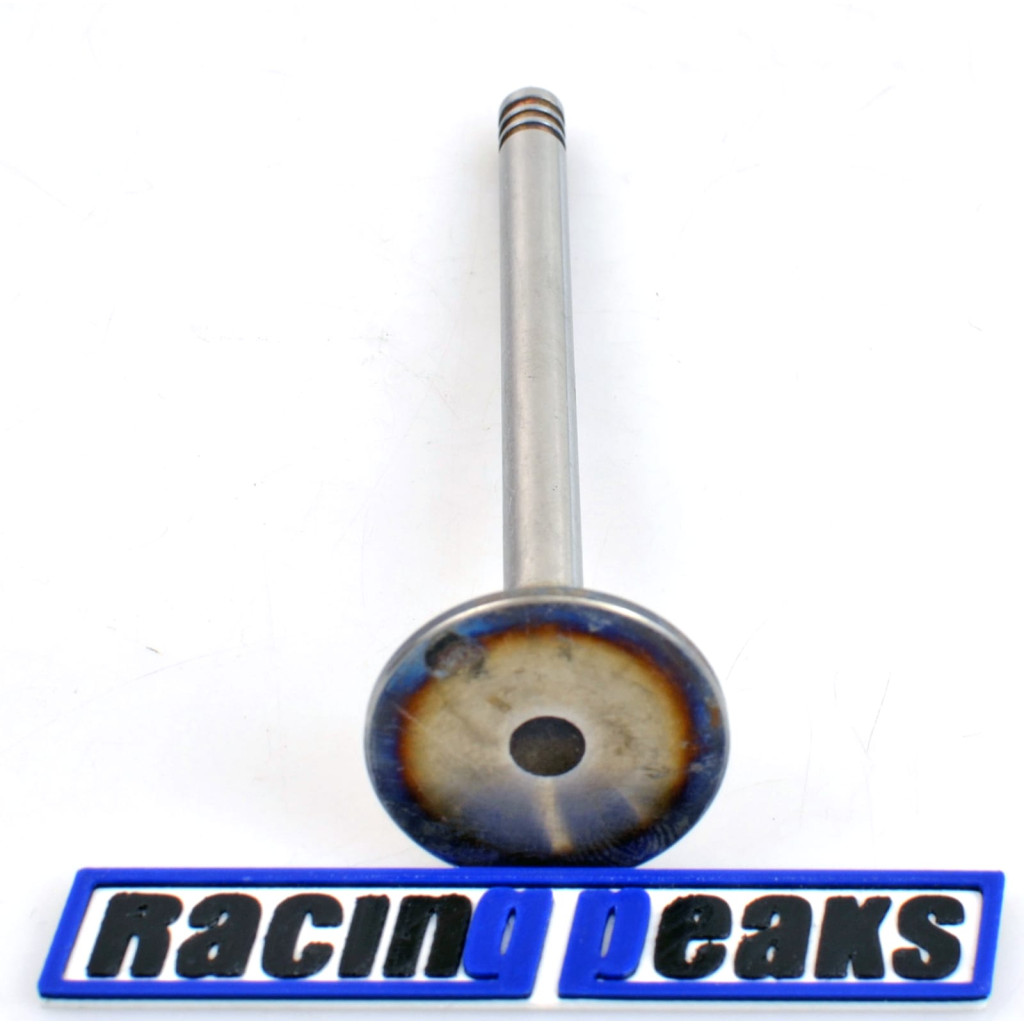 Intake Valve fits BMW 320Ci 320i 520i Z3 2.0 M52B20 M50B20 1990-2003