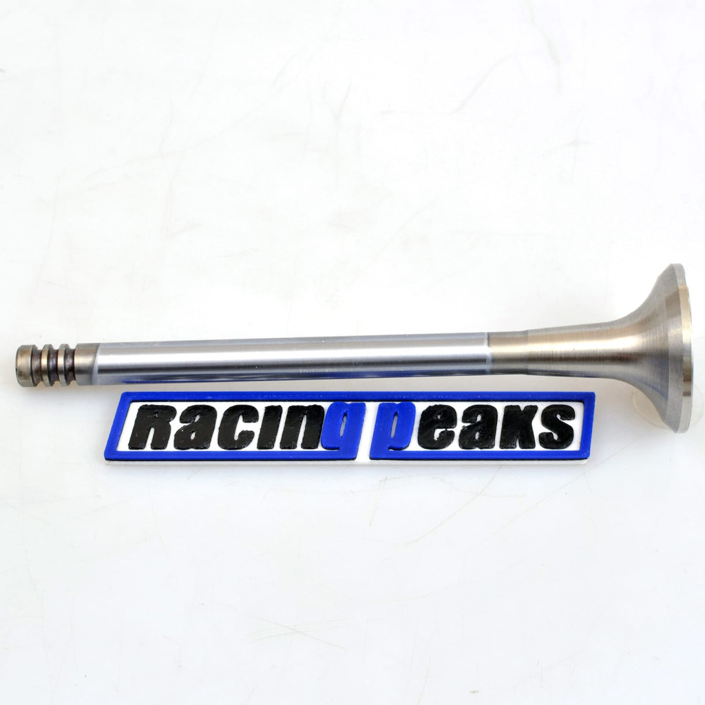 Exhaust Valve fits BMW 320Ci 320i 520i Z3 2.0 M52B20 M50B20 1990-2003