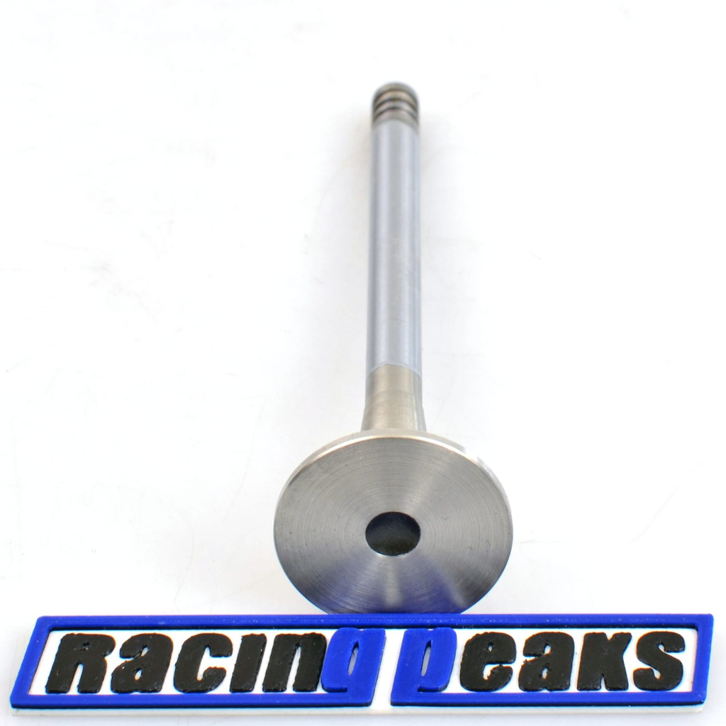 Exhaust Valve fits BMW 320Ci 320i 520i Z3 2.0 M52B20 M50B20 1990-2003