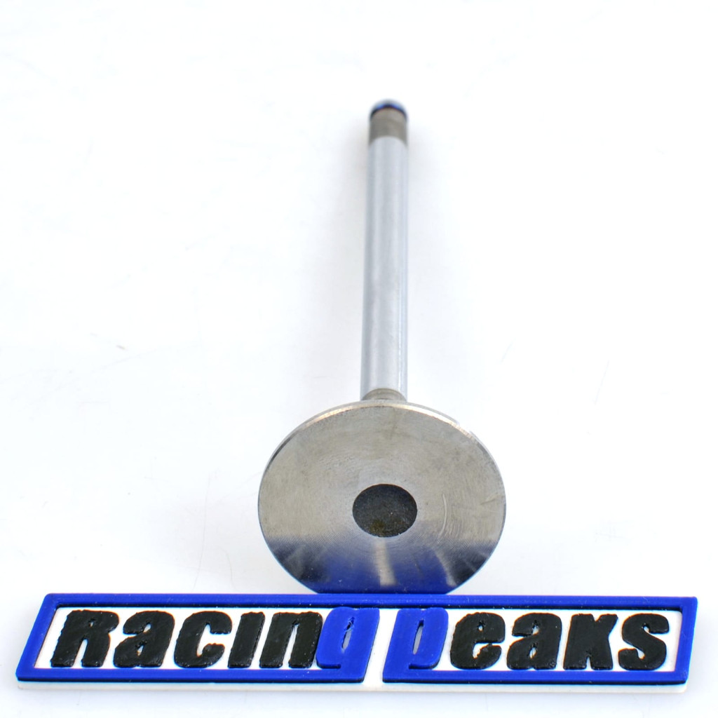 Intake Valve fits Mercedes C-E 200D-220D 2.0 2.2 OM604 1993-2002